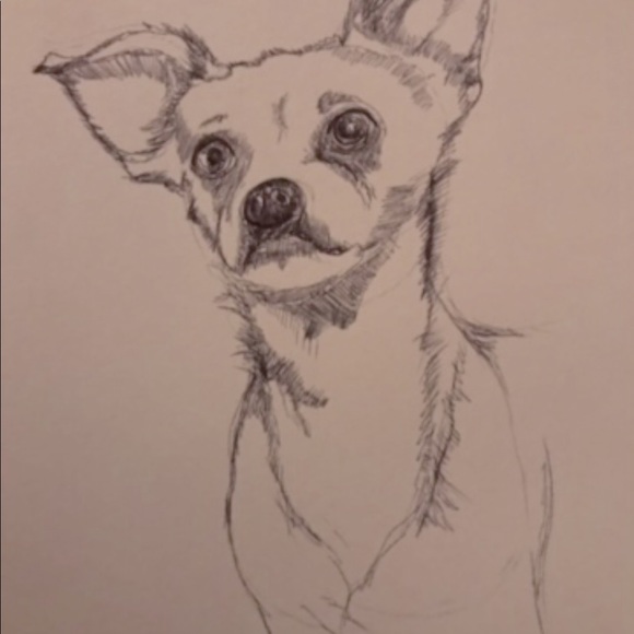 💖🎾🐶BELLA⭐️☀️🦋 - Picture 12 of 14